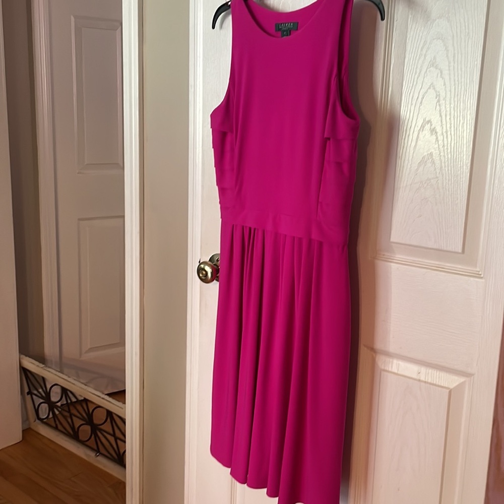 Ralph Lauren dress. Gorgeous!! Worn a few times in excellent preowned condition - Picture 4 of 11